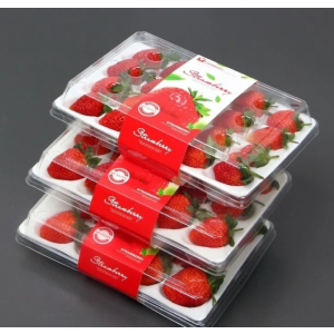 顺丰快递[熊猫鸟]彩箱装 四川正宗大凉山露天草莓 大果 单果25g左右 净重2.4斤 (300g*4) 吸塑盒