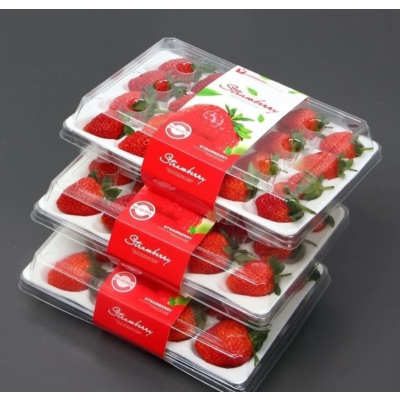 顺丰快递[熊猫鸟]彩箱装 四川正宗大凉山露天草莓 大果 单果25g左右 净重2.4斤 (300g*4) 新鲜水