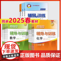 2025春新思路辅导与训练 数学物理化学 六七八九年级上下册数理化配套教辅上海科学技术出版社初中6789年级初一初二第一
