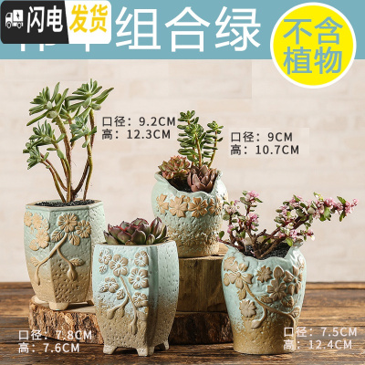 三维工匠多肉花盆陶瓷创意个性粗陶肉肉植物盆器大口径小花盆 伟华组合绿4个 中小花盆容器