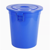 德力彩 储水桶 塑料桶100L 个