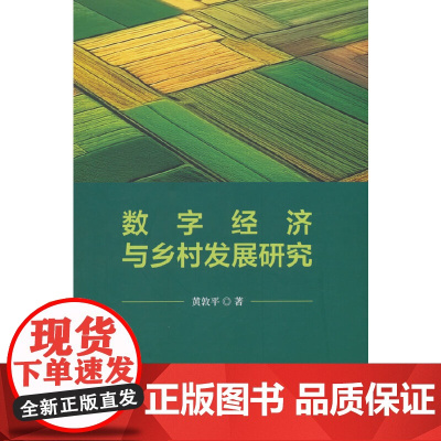 数字经济与乡村发展研究 黄敦平 经济科学出版社 正版书籍