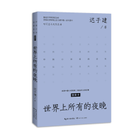 音像世界上所有的夜晚(中篇小说经典系列)迟子建 著