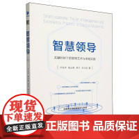 智慧领导(关键时刻下的管理艺术与卓越实践)
