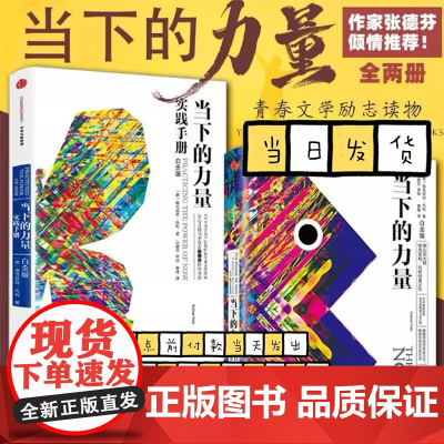 [新版2册]当下的力量 +当下的力量实践手册 白金版 埃克哈特·托利 中信出版社 成功励志正版书籍 中信出版社