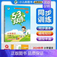 语文[人教版] 二年级上 [正版]2024秋53天天练一二三四五六年级上册语文数学英语同步练习册课时训练作业人教北师大版