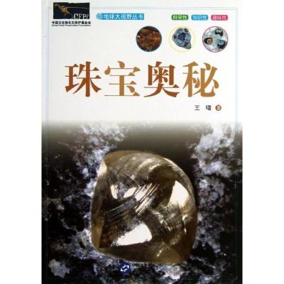 正版新书]珠宝奥秘/地球大视野丛书王曙9787507540024