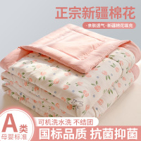 A类夏季卡通棉花夏被夏凉被空调被全棉纯棉可机洗单人棉被薄被子