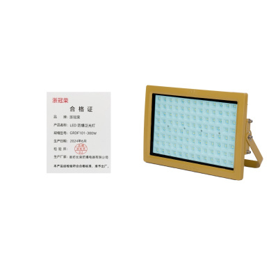 浙冠荣GRDF101-300W免维护LED防爆泛光灯