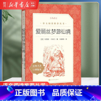 爱丽丝梦游仙境 [正版]书店爱丽丝梦游仙境(经典名著口碑版本)语文阅读丛书 小学生课外阅读书籍名著小说漫游奇境记 人民文