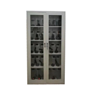 天瑞通邦 二门工具存放柜(可充电) 850*390*1800mm 套