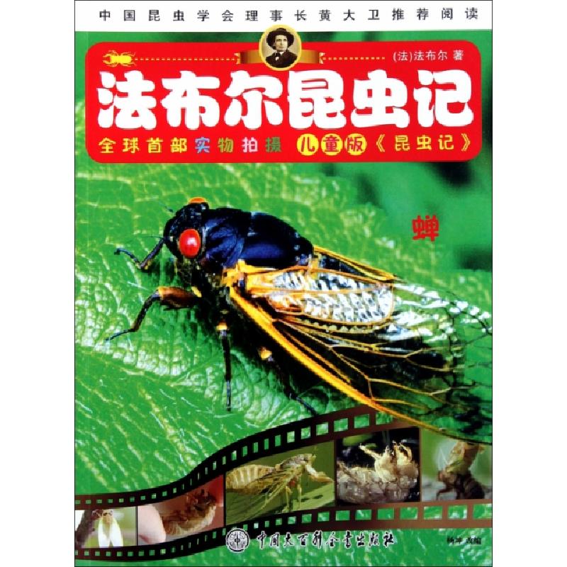 正版新书]蝉(儿童版)/法布尔昆虫记(法)法布尔|改编:杨坤9787500