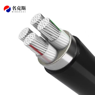 名克斯 0.6/1KV阻燃铝芯电缆ZR-YJLV22 3*16+1*10m㎡ 米