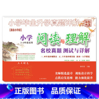 阅读与理解 小学升初中 [正版]2023小升初小学毕业升学真题详解古诗词文言文阅读与理解积累与运用3-6三四五六年级小学