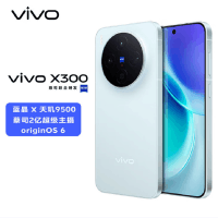 vivo X300 自在蓝 12GB+256GB 蓝晶×天玑9500芯 大电池 90W快充 支持无线充电 蔡司超级潜望长焦 拍照 AI手机