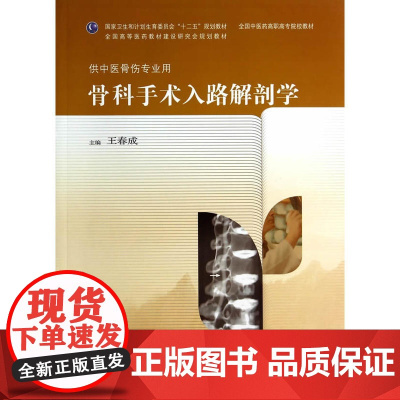 骨科手术入路解剖学(高职中医骨伤)