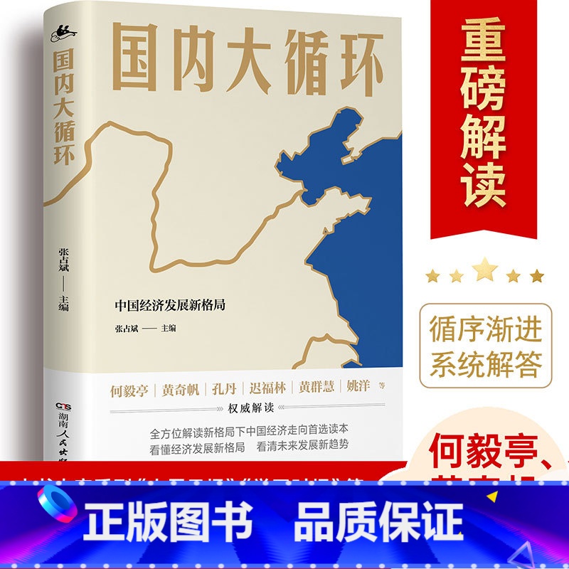 [正版]国内大循环(中国经济发展新格局) 何毅亭黄奇帆迟福林黄群慧姚洋 智囊重磅发声 湖南人民出版社 中国道路趋势