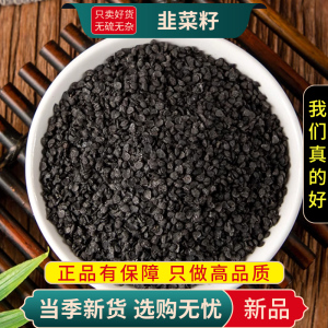 甄选韭菜籽100克干货韭菜子韭菜籽另售锁阳肉苁蓉枸杞9260