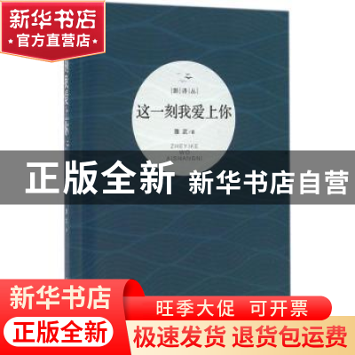 正版 这一刻我爱上你 雒武著 天津大学出版社 9787561855232 书籍