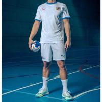 彪马(Puma)男子运动手球高质面料透气舒适训练T恤