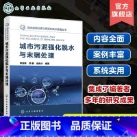 [正版]城市污泥强化脱水与末端处理 李亚林 污泥处理处置 污泥强化脱水实用技术指导书 固废处理处置实用技术图书 环境工