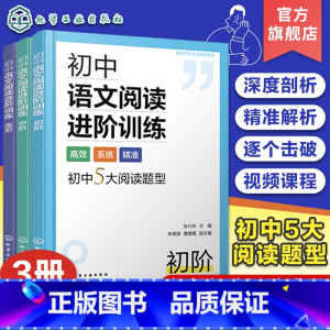 3册 初中语文阅读进阶训练 [正版]3册 初中语文阅读进阶训练初阶+中阶+高阶 初中语文答题公式解题思路梳理 初中语文阅