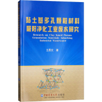音像黏土基多孔颗粒材料吸附净化工业废水研究王恩文