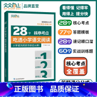 28个核心考点吃透小学[语文阅读] 小学通用 [正版]2024天天向上28个核心考点吃透小学语文阅读一二三四五六年级上下