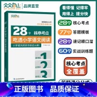 28个核心考点吃透小学[语文阅读] 小学通用 [正版]2024天天向上28个核心考点吃透小学语文阅读一二三四五六年级上下