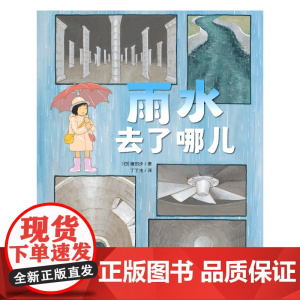 雨水去了哪儿 镰田步/著 科普绘本