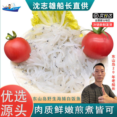 沈志雄船长 东山岛海鲜鲜活速冻小银鱼 白饭鱼无刺 海捕 250g/盒 共500g孩子辅食