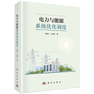 [N]电力与能源系统优化调度(精)-9787030755988