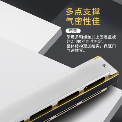 奇美口琴24孔初学者学生成人儿童专业复音c调男女演奏高级口风琴