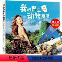 [正版]我的动物朋友蒂皮.德格雷 非注音版一二三四年级少儿百科全书科普书籍动物王国小学生读物十万个为什么小学版全套朋友