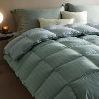 罗莱家纺 羽绒被 A类95%水洗鹅绒被子保暖冬被芯 约3斤绿