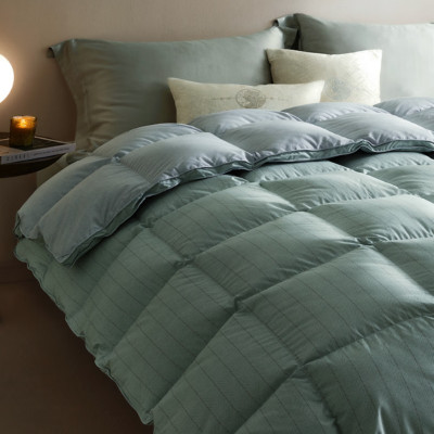 罗莱家纺 羽绒被 A类95%水洗鹅绒被子保暖冬被芯 约3斤绿