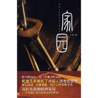 正版新书]家园—王华王华9787539928784