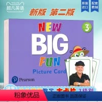 [正版]朗文培生幼儿英语新版new Big Fun 3级别大卡第二版本 Picture Cards 教学卡片套装