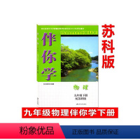 伴你学9下物理苏教 初中通用 [正版]2024版伴你学物理九年级下册苏科版含参考答案不含试卷 江苏人民出版社9年级下册物