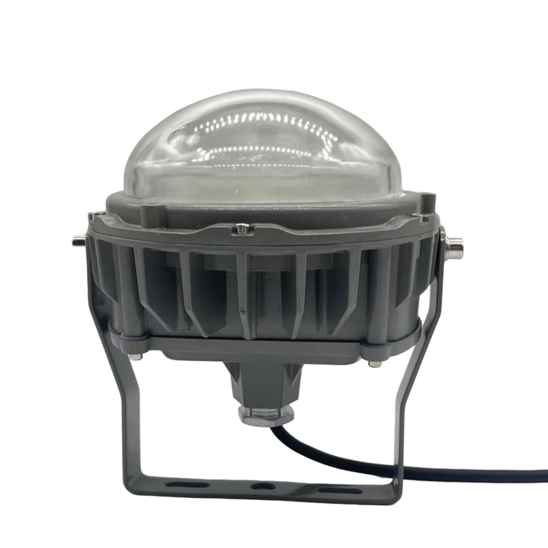 驰洛科 CLSF50-100TB 220V 100W IP65 三防灯 (计价单位:个) 银灰色