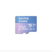 闪迪内存卡tf卡 大疆pocket4内存卡 运动相机无人机存储卡 V30极速粉卡 256GB 官方标配