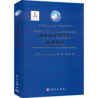 音像祁连山水塔变化及其影响王宁练等著