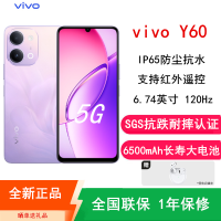 [全新]vivo Y60 Ai版 鸿运紫 6GB+128GB 6500mAh长续航大电池 第二代骁龙4 5G芯 120Hz 红外遥控 高清影像 5G 手机