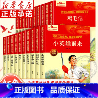 [全20册]赓续红色血脉·爱国主义教育丛书 [正版]赓续红色血脉爱国主义教育丛书全20册 6-9-12岁小学生三四五六年