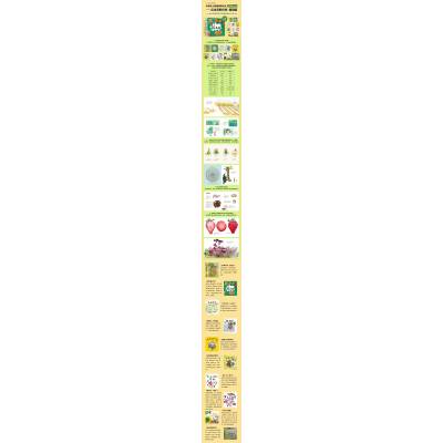 森林里的野花(DFWW)