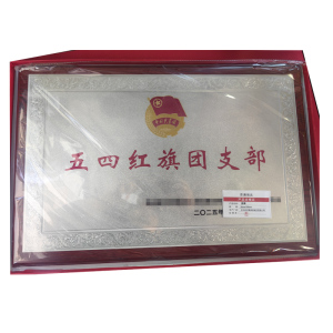 京通瑞达 奖牌 35cm*50cm 个