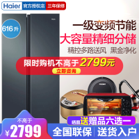 Haier海尔616升对开门冰箱家用大容量双变频净味抗菌一级能效风冷无霜双开门电冰箱BCD-616WGHSSEDC9