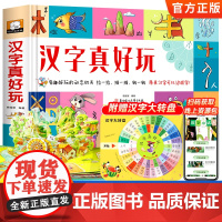 汉字真好玩立体书儿童3d立体书2-3-6岁学前识字幼儿认字绘本故事书早教启蒙益智书籍翻翻书玩具8以上汉子真好玩儿机关书1