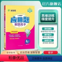 六下-应用题解题高手-苏教版 [正版]2024春 春雨实验班 小学数学应用题解题高手 六年级下册 苏教版 期末复习 易错