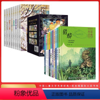 [全19本]名家经典+纽伯瑞大奖 [正版]3-7年级儿童文学名家经典19册 小学生课外阅读书籍三四五六年级 国际获奖纽伯